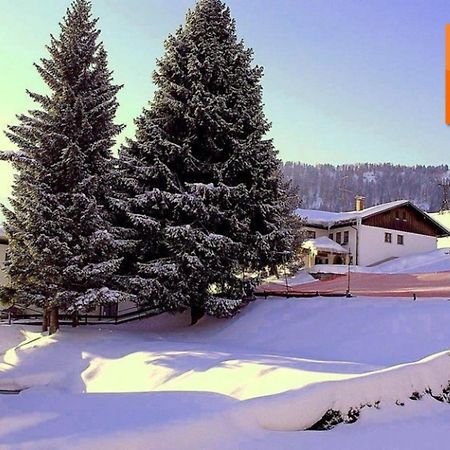 Appartement Nr 19, Alpenappartementhaus, Oberstaufen-Steibis, Allgaeu, Oberstaufen Plus 외부 사진