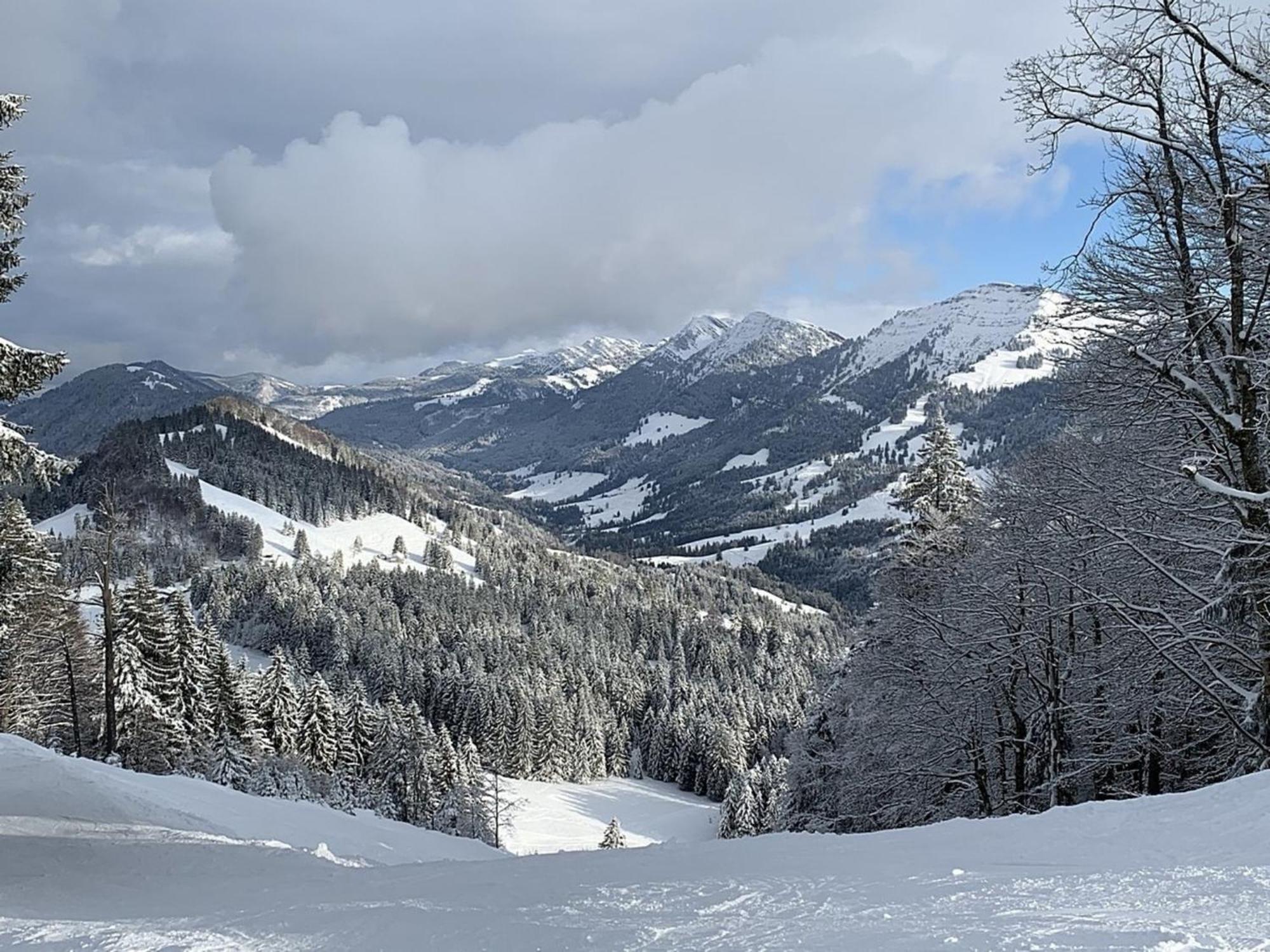 Appartement Nr 19, Alpenappartementhaus, Oberstaufen-Steibis, Allgaeu, Oberstaufen Plus 외부 사진